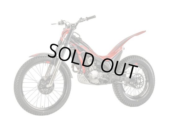 画像1: 2024　MONTESA COTA4RT 250R　TOM'Sスペシャル　ツートラコンペバージョン　5台限定販売！(残り1台となりました！） (1)